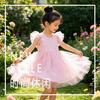 Children's Mesh Princess Dress