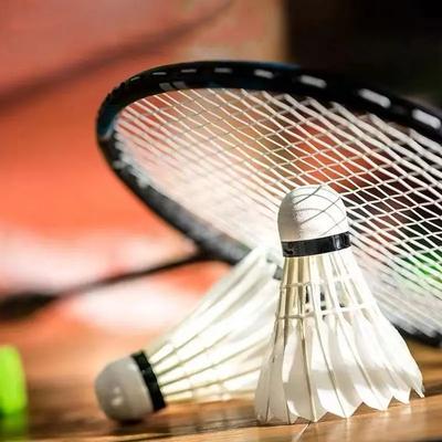 12st Fjäder Badmintonbollar Stor Stabilitet Hög Hastighet Badmintonbollar för Sportträning Inomhus Utomhusspel