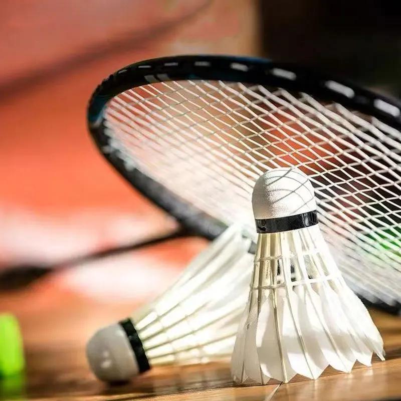 12pcs Feather Badminton Shuttlecocks Great Stability High Speed Badminton Birdies Balls for Sports Training Indoor Outdoor Game