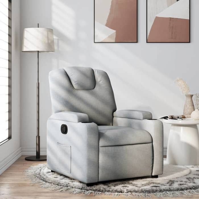 VidaXL Fauteuil Inclinable, Chaise de Relaxation avec Dossier, Siège avec Accoudoirs Rembourrés Salle de Séjour, Moderne, 372365