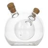 2 In 1 Glass Bottle For Oil And Vinegar 480 Ml