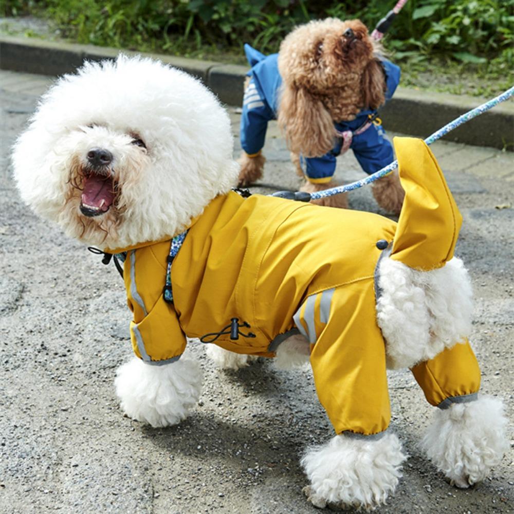 

Small Dog Raincoat, Dog Four-legged Raincoat Than Bear Magic Fight Teddy S