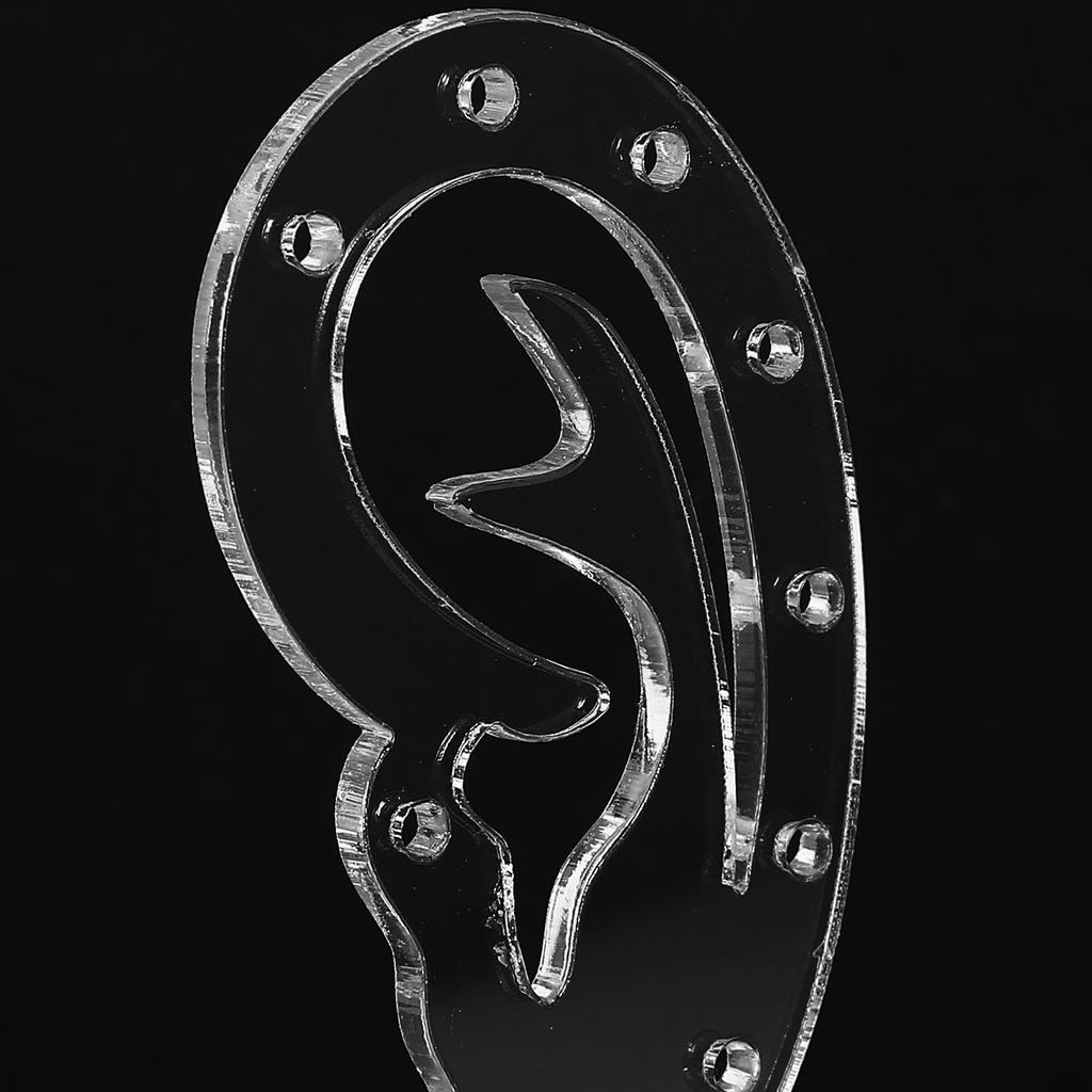 4 Stück Einzelhandels-Displayhalter Ohrförmiger Schmuckständer Zeigen Ohrringaufhänger Halskettenständer