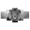 Lion Glare Black White Scene 5 Piece Five Panel Wall Canvas Print Modern Art Poster Home Decor Gift For Him For Her