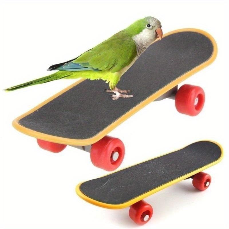 Bird Parrot Intelligence Toys Mini Training Skateboard Parakeet Growth Toy