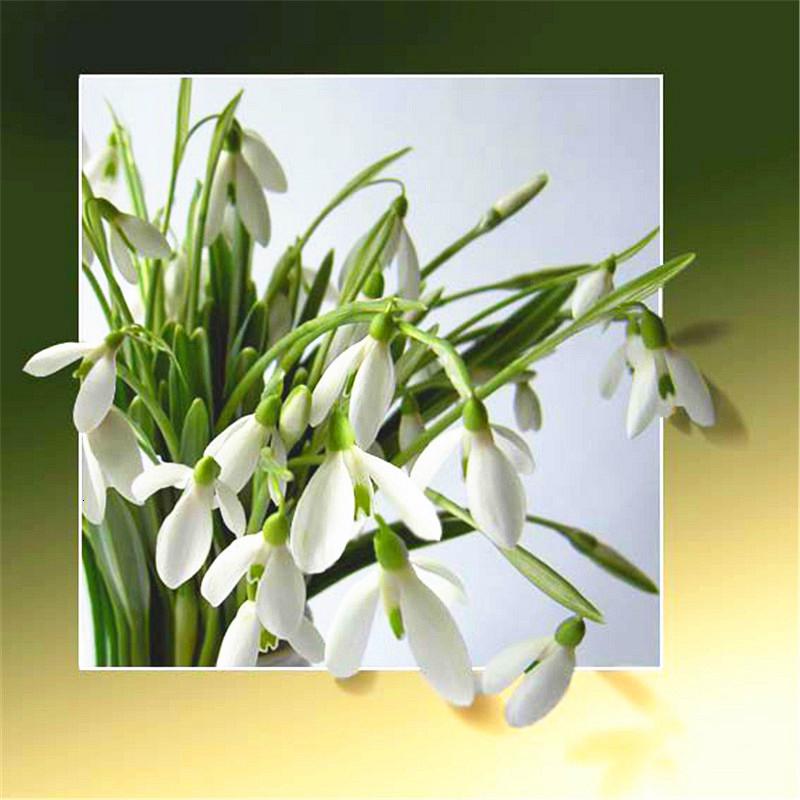 Yeni Varış Elmas Boyama Gül Tam Yuvarlak Matkap Elmas Nakış Satış Çiçek Çapraz Dikiş Ev Dekor Zanaat Kiti