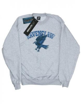 Boys Ravenclaw Sport Emblem Sweatshirt