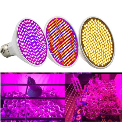 Illuminazione professionale – Lampade per coltivazione indoor