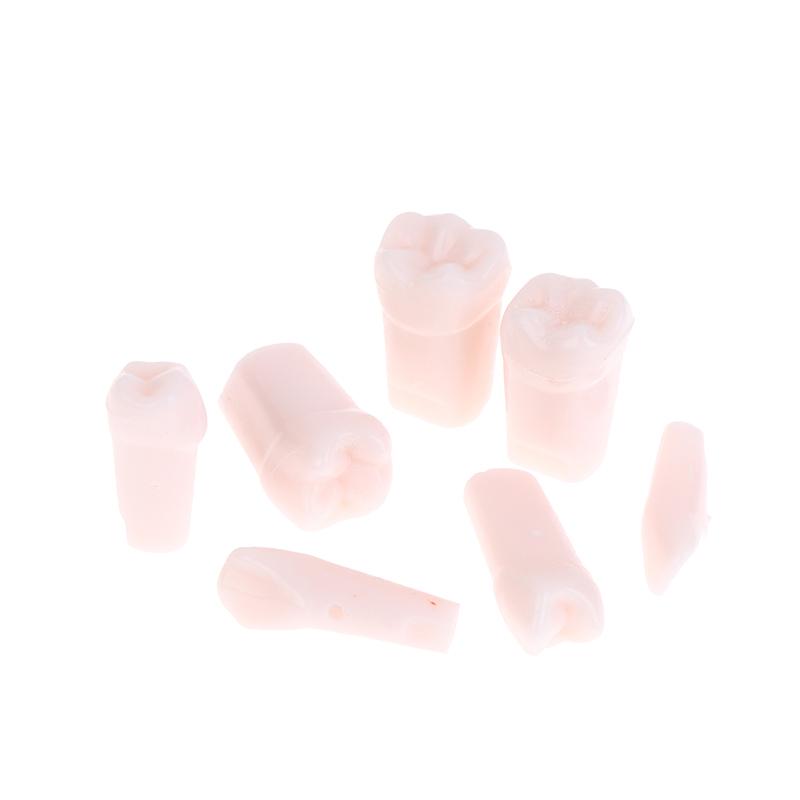 28Pcs Dental Typodont Teeth Replacement Detachable Screw-In Standard Teeth For Dentistry Preparation Training Teach