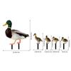 5 Pack Ducks Yard Signs with Stakes Acrylic Mirror Decorations for Outdoor Yard Lawn Garden Decoration Yard Art