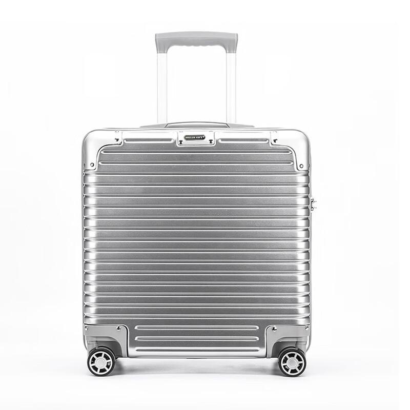 DREAMGIFT Business Travel Carry-on Spinner Luggage