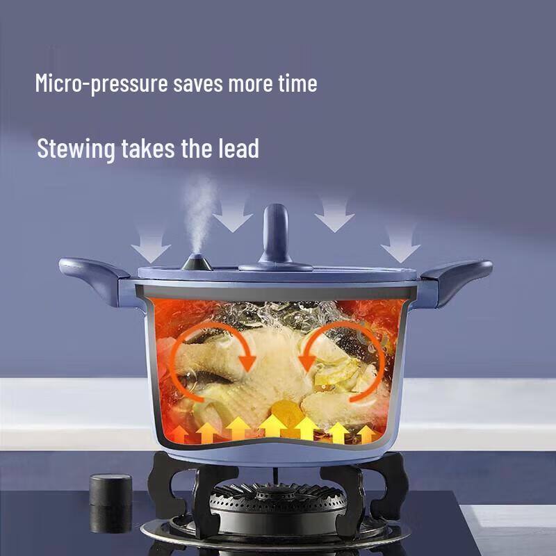 Cooker King 22cm Micro Pressure Soup Pot