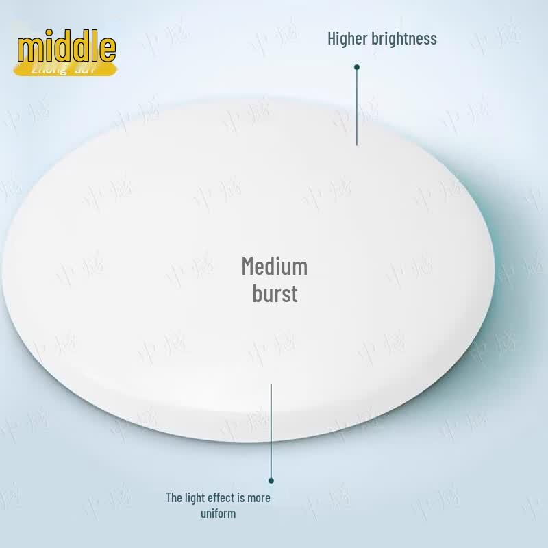 Outdoor LED Round Ceiling Light