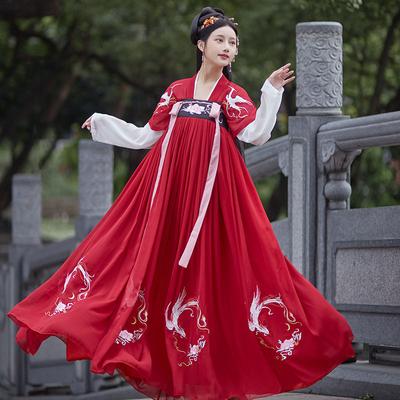 Čínské šaty Taneční šaty Šaty Tang Dynasty Hanfu Ženy Starověký kostým Vylepšené výšivky Dvouřadá sukně Dámské oblečení