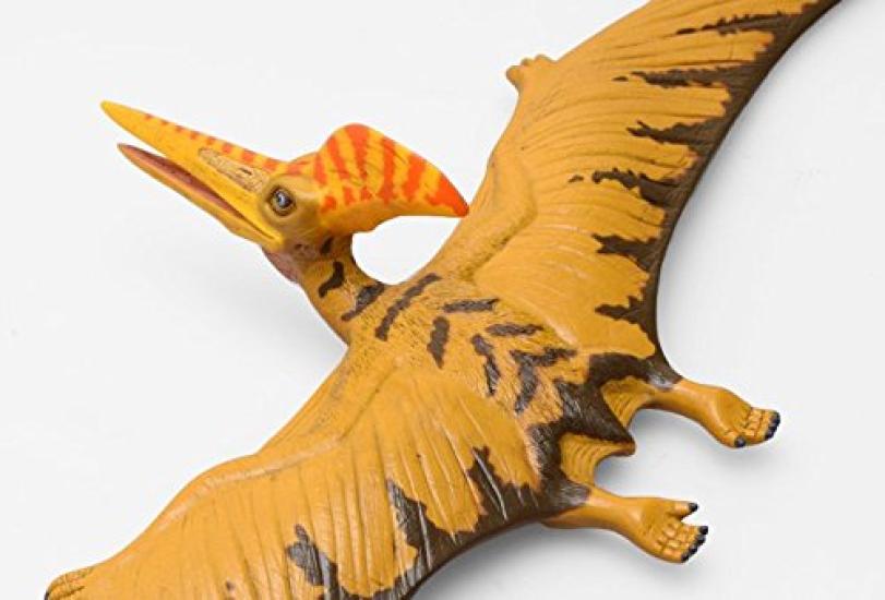 Pteranodon Vinyl Model Premium Edition (FD-355)