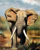 5D Diamond Painting Elephant Full Drill Square Needlework Diamond Embroidery Full Set Animal Diamond Mosaic Cross Stitch Craft Kit Home Decor