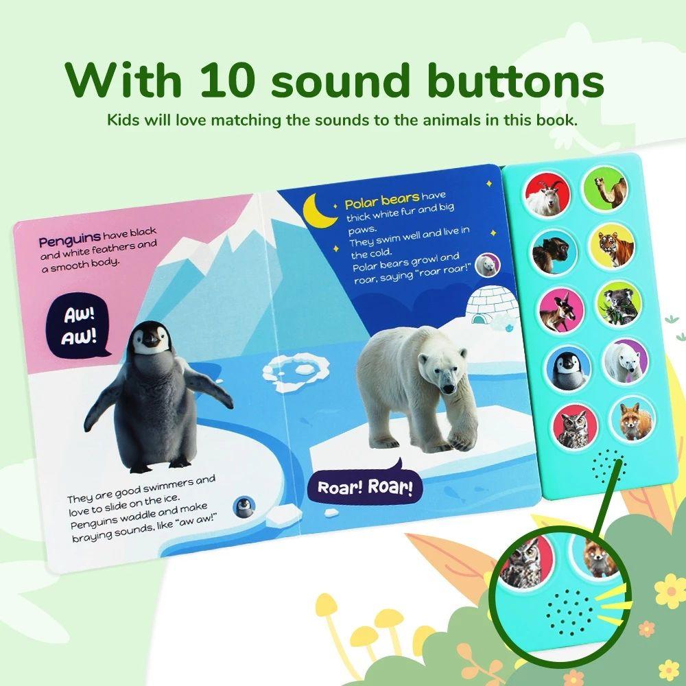 Activity Book Sounds Books Animal Cry Sound Interact Books 0-36M Wild Animal Kids Books  Baby