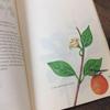 [USED] Plant encyclopedia, old German books, botanical art, junk journals
