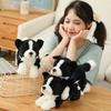 Simulations Border Collie Hund Plüschtier Stofftier Super Hohe Qualität Jagdhund Spielzeug Für Luxuriöse Wohnkultur Haustierliebhaber Geburtstagsgeschenk