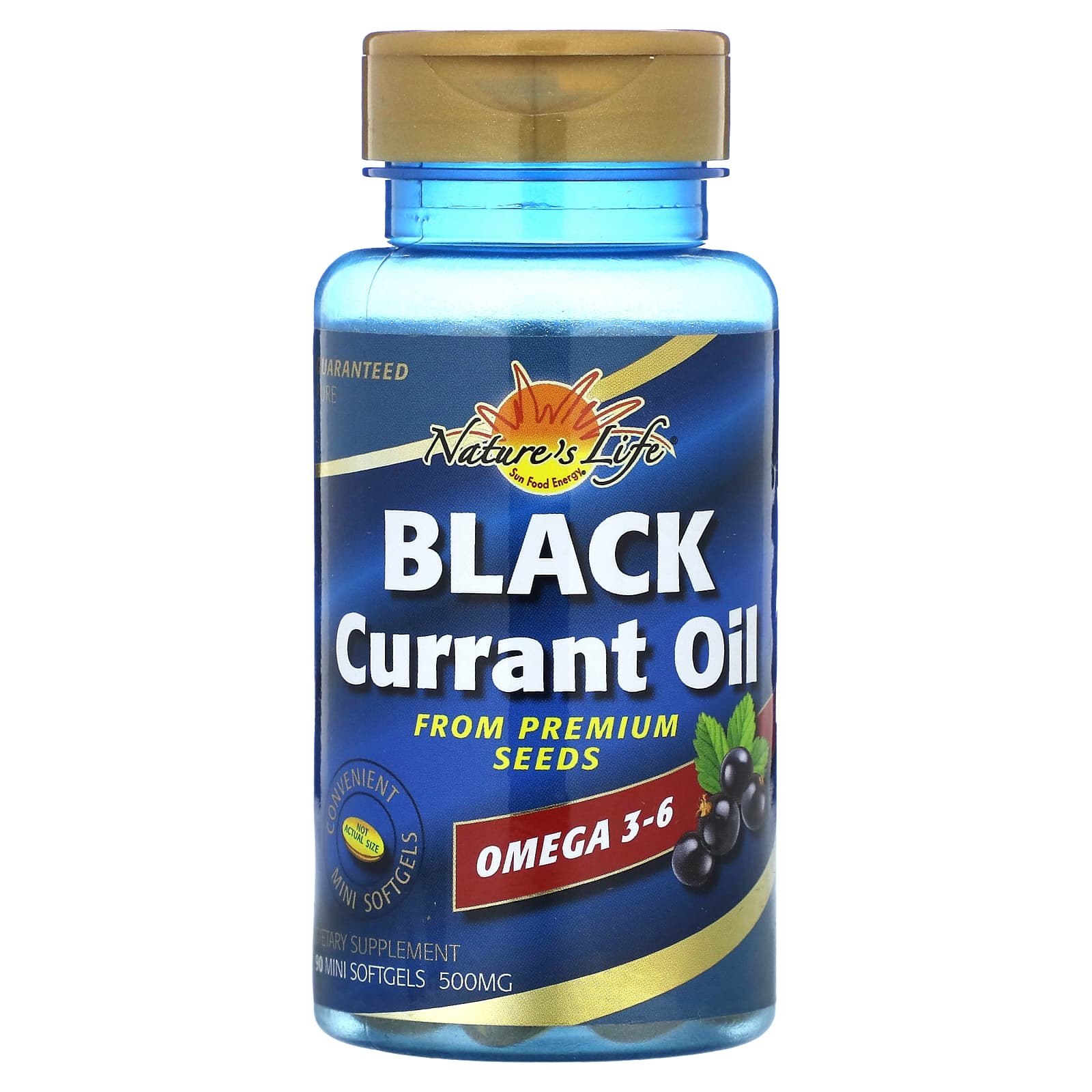 

Nature S Life, Blackcurrant Oil, 500Mg, 90 Mini Softgels