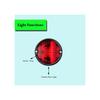 APSMOTIV 2X Vintage Tail Light Chrome 12V Rear Stop & License Plate Light Red Lens Chrome Ring Universal for Ford Model A Rat Harley 1950 Dodge