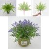Faux Pteridium Aquilinum Var Latiusculum Plant Decor Set With Realistic Leaf Textures For Garden Photography And Home Decor