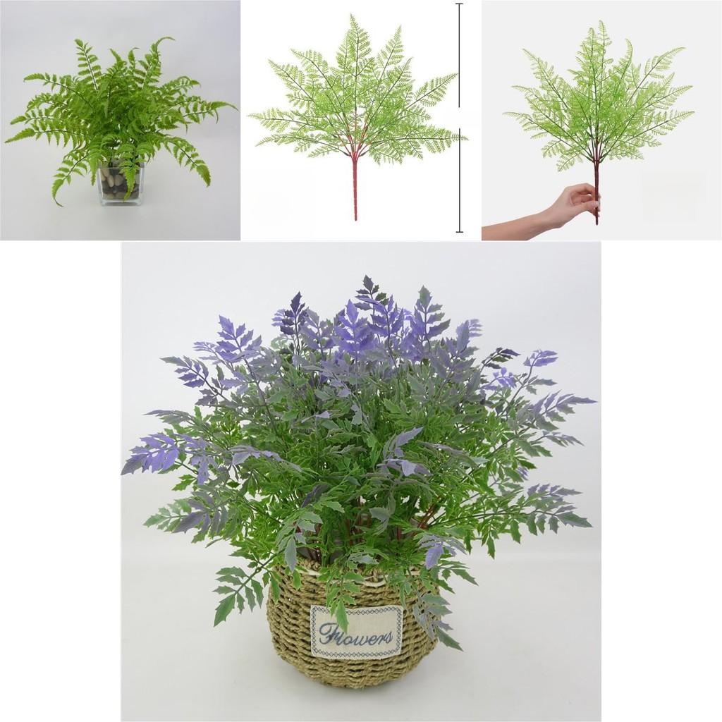 Faux Pteridium Aquilinum Var Latiusculum Plant Decor Set With Realistic Leaf Textures For Garden Photography And Home Decor