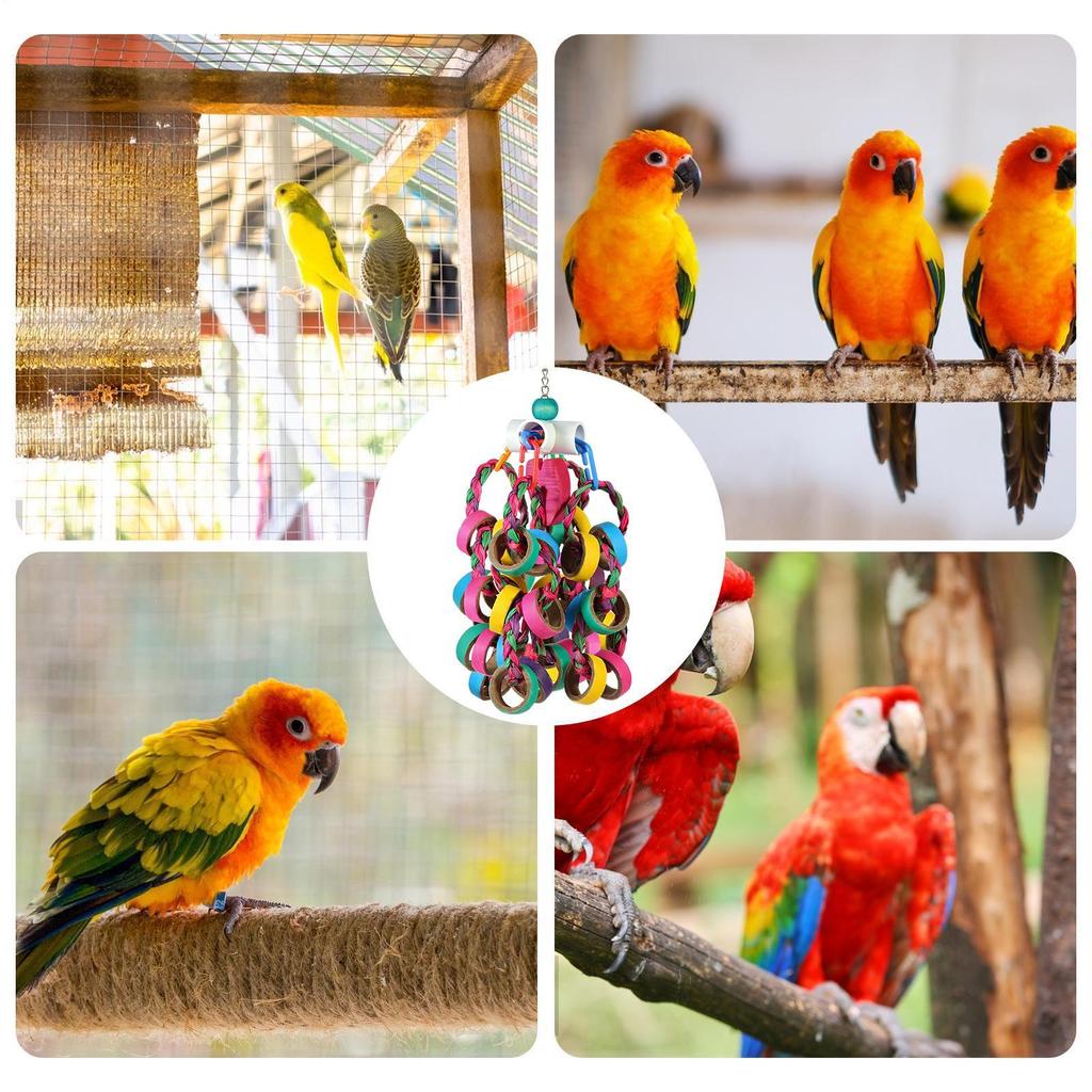 Bird Chew Toys Perch Climbing Play Ornaments Small Bird Toys For Parakeets Lovebirds Macaws Cockatiels Home Indoor Outdoor Yard