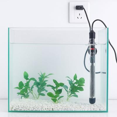 Peixes e animais aquáticos – Manutenção de aquário