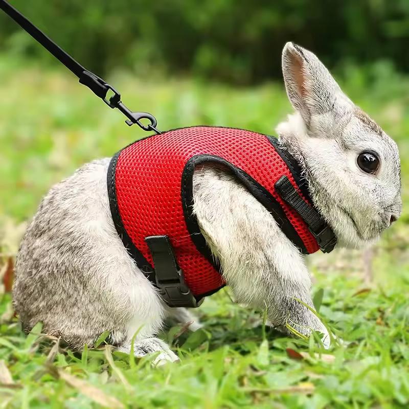 Breathable and stylish pet vest-style harness with adjustable soft strap and elastic leash set, suitable for rabbits and cats