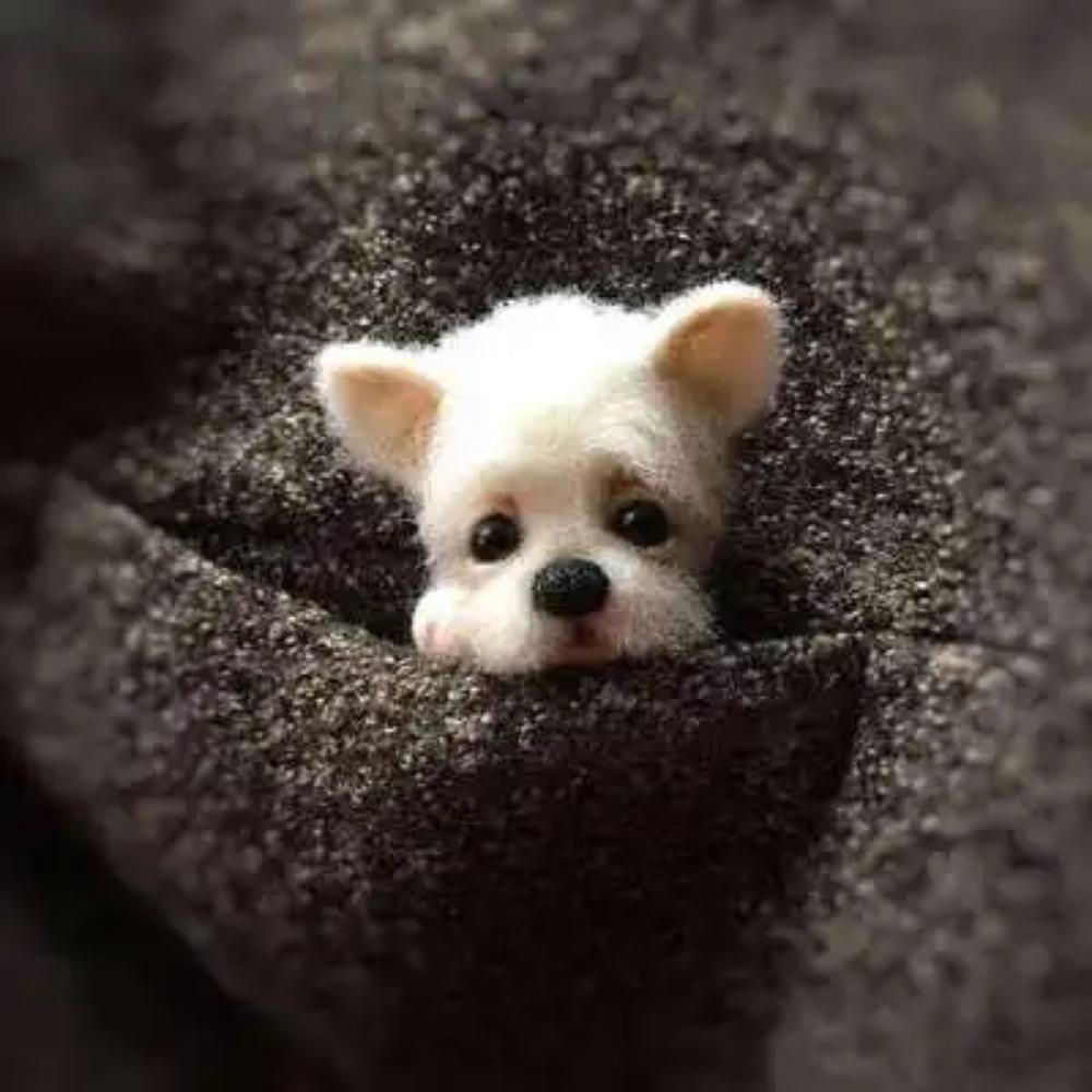 

Шерстяной фетр Поке Ручная работа DIY Материал Кит Шерстяная игла Не готовый Кот Лиса Енот Животное Брошь Плюшевая кукла Женская сумка Подвеска