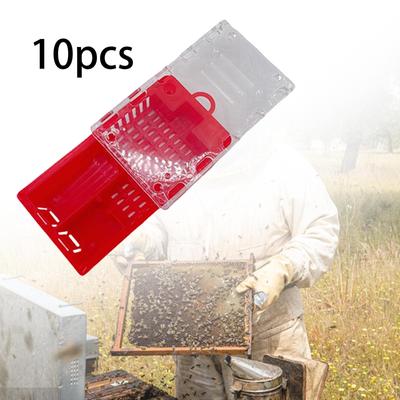 Lot de 10 cages pour reine des abeilles, outils d'élevage, cage mobile facile à utiliser, équipement d'apiculture pour abeilles