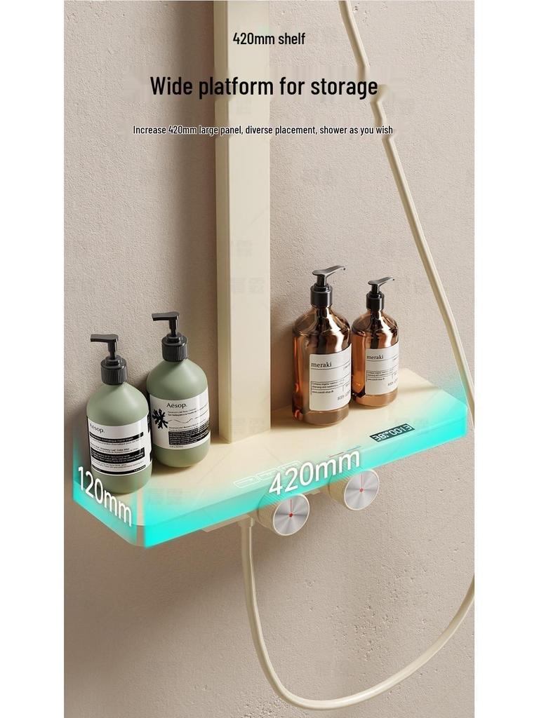Pressurized All-Copper Shower Head with Gray Digital Display and Storage Set