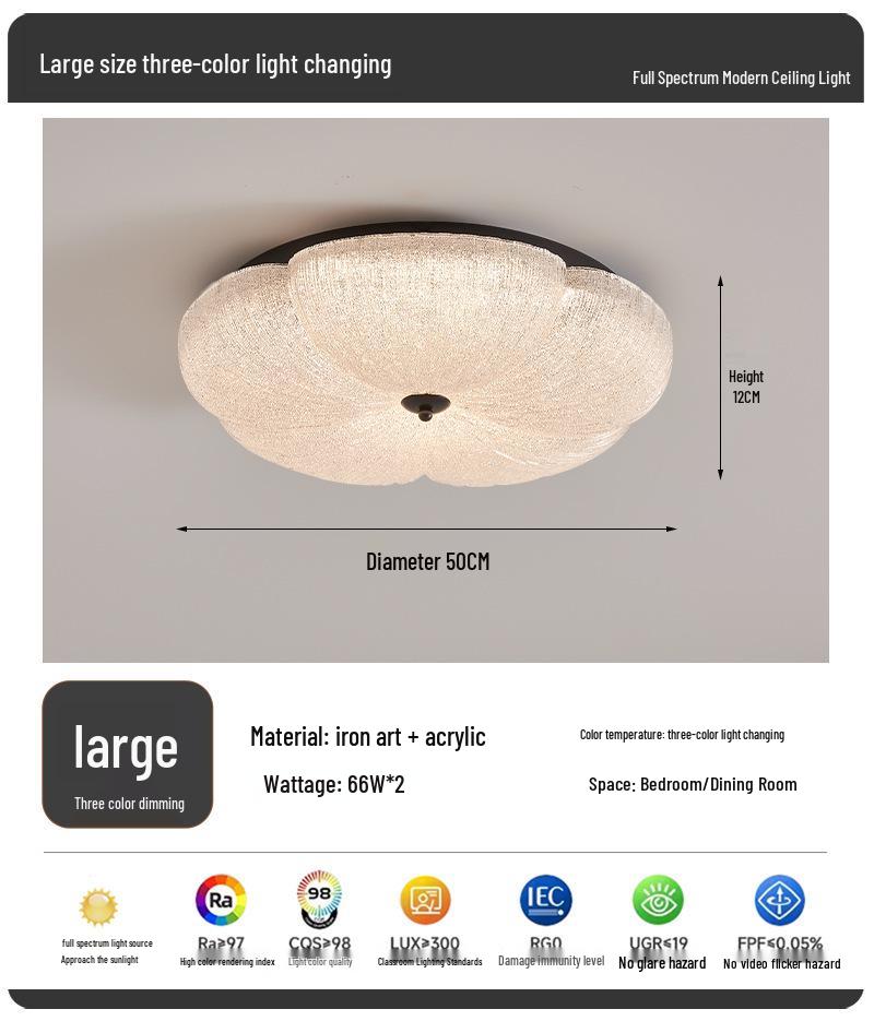 2025 Modern Minimalist Petal Ceiling Light - Luxury & Eye-Friendly for Children's Bedroom