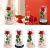 Rose Flower Gifts Valentine's Day Gift Everlasting for Mom Birthday