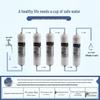 UF Water Purifier Filter Cartridge 5-Stage Quick Connect Set with PP Cotton, CTO, T33, and Scale Inhibiting Carbon
