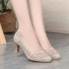 Summer Single Shoes Mesh Breathable Versatile High Heels Women's Shoes Middle-Aged Temperament Pointed Toe Shallow Mouth Shoes