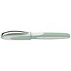 Schneider RAY Fountain RYFP168120F F/Fine Pen, (Pistachio, Black)