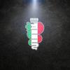 For Alfa Romeo Giulietta Mito Stelvio Giulia 159 Brera Spider LED Car Door Welcome Lights Courtesy Projector Ghost Shadow Lamp zl9