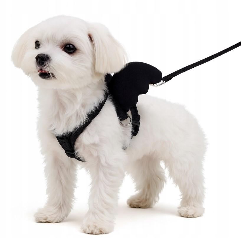 Harness with wings for small dogs and cats with a leash S 2-3.5 kg (black)