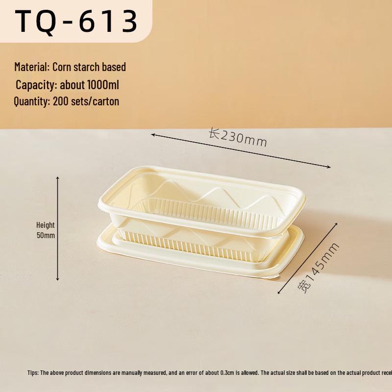 Eco-Friendly Disposable Food Container