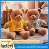 Plush Teddy Bear Gift Set: Birthday Ring Toss Doll & Sweater Bouquet, Perfect for Children's Day