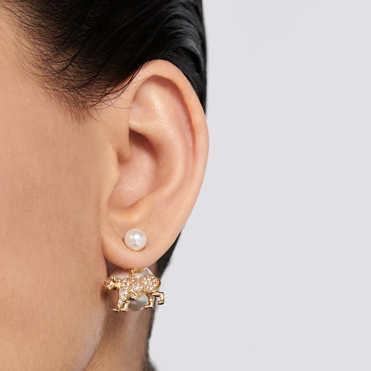 Dior Earrings Women's E2411WOMCY_D03S