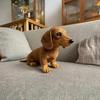 Poppen en knuffels – Dieren knuffels