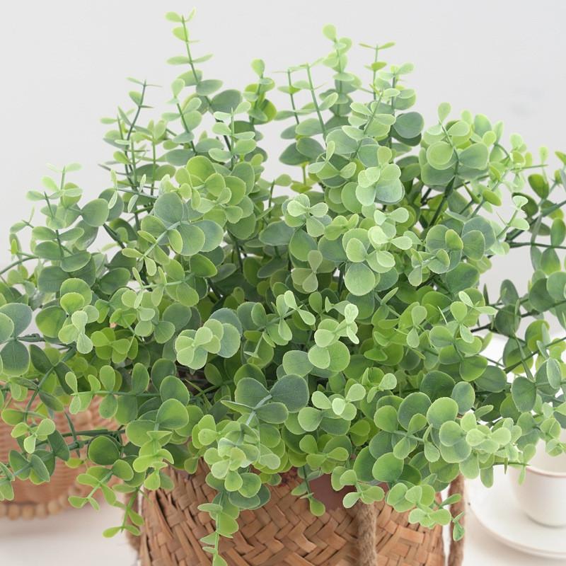 Globulus Branch Eucalyptus For Garden Party Photography Decoration Props