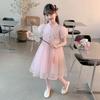 Girls' mesh dress, baby princess dress, 2026 new women's summer dress, stylish and sweet little girls' dress, fairy