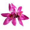 Hawaii Colourful Hair Clip Flower Hairpin Double Orchid Hair Clips Children's Hair Accessories for Women and Girls
