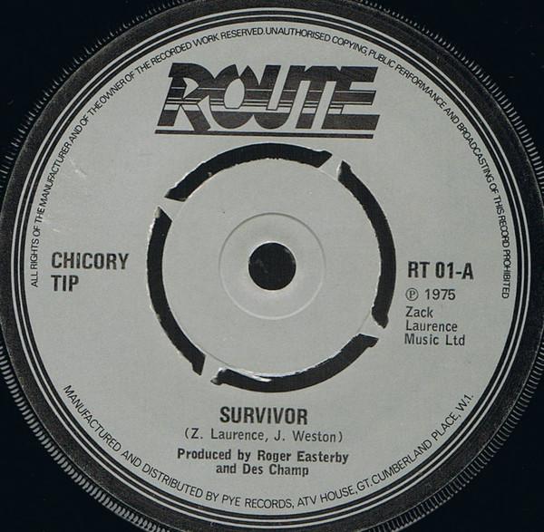 

7inch Record CHICORY TIP Survivor RT01 Route Records 1975 UK Rock Used