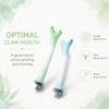 Screw Fixation Bird Station Pole Branch-Shaped Parrot Grinding Stick  Training Perch