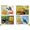 Ptaki Polski Książka Dla Dzieci Album Atlas Przewodnik Twarda Oprawa